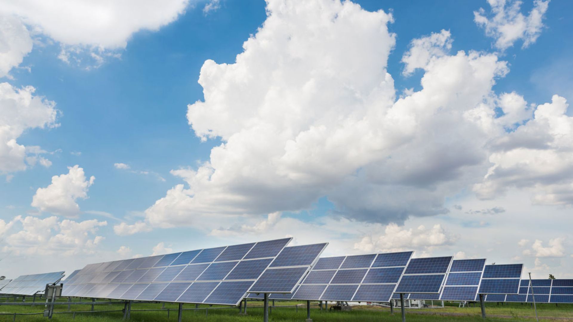 solar panels in field